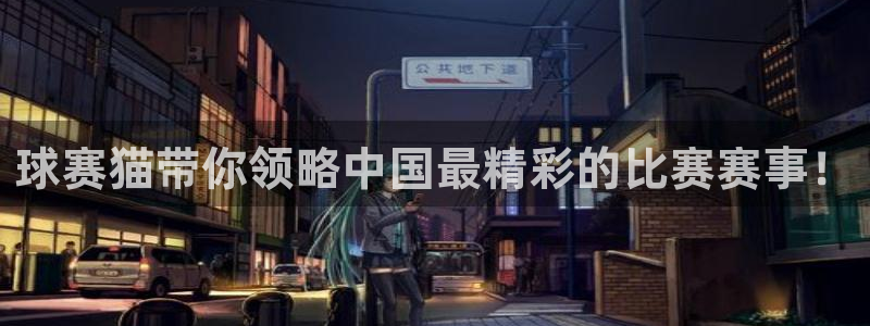 球赛猫带你领略中国最精彩的比赛赛事！