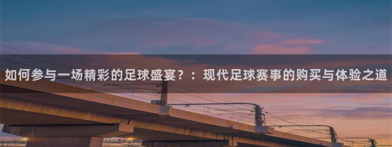  星空体育官网：如何参与一场精彩的足球盛宴？：现代足球赛事的购
