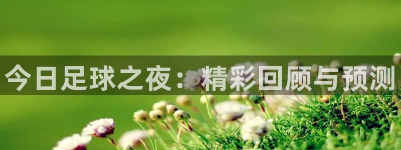 星空体育最新：今日足球之夜：精彩回顾