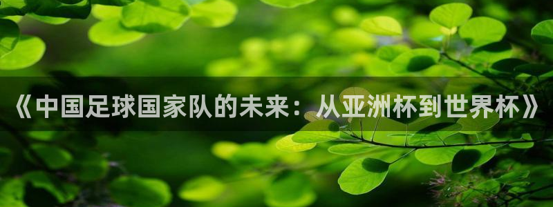 天空体育权威吗?：《中国足球国家队的未来：从亚洲杯到世界杯》