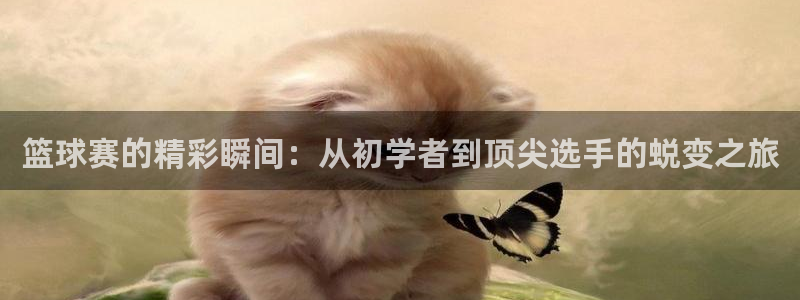  星空体育官网：篮球赛的精彩瞬间：从初学者到顶尖选手的蜕变之旅