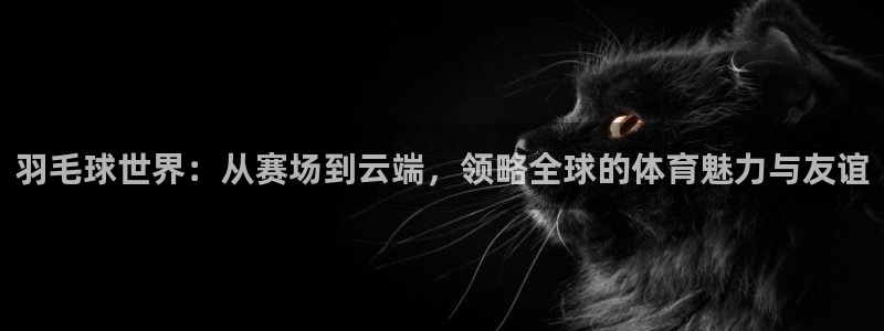 星空体育最新：羽毛球世界：从赛场到云端，领略全球的体育魅力与