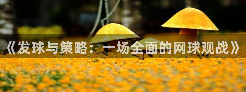 星空体育网：《发球与策略：一场全面的网球观战》