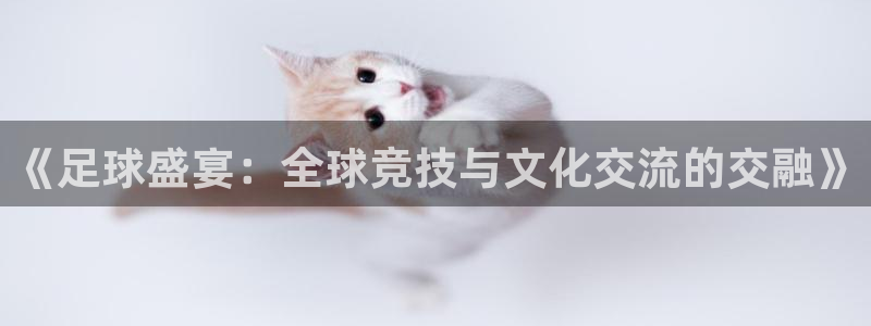 星空体育官网在线：《足球盛宴：全球竞技与文化交流的交融》